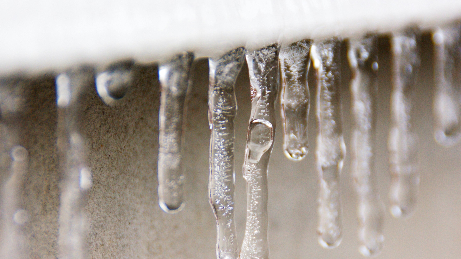 Freeze