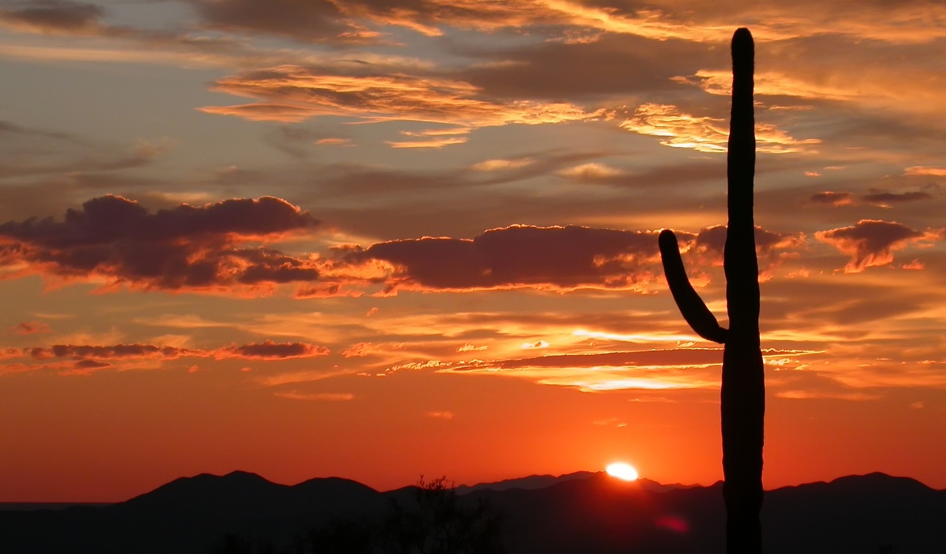 Arizona